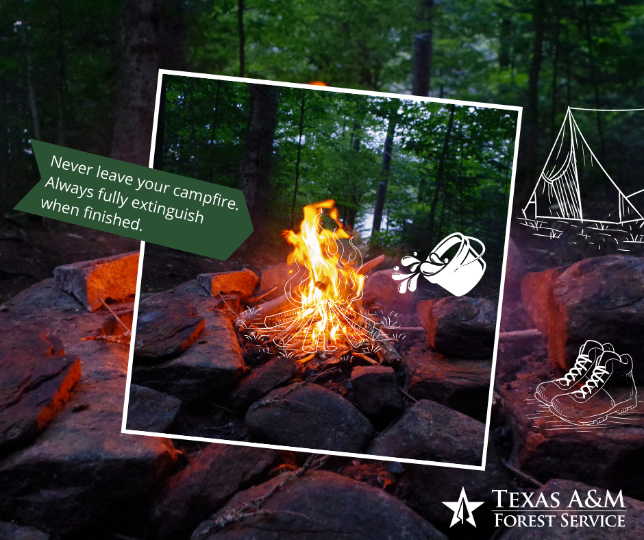 WinterWildfirePrevention_CampfireSafety WinterWildfirePrevention_CampfireSafety